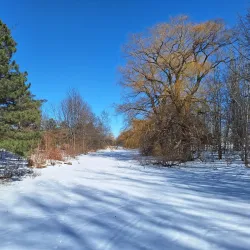 Parc de la Rivière aux Pins - Boisbriand