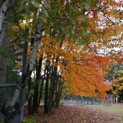 Parc des Hirondelles - Boisbriand