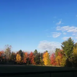 Parc des Hirondelles - Boisbriand