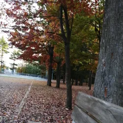 Parc des Hirondelles - Boisbriand