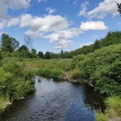 Albion Hills Conservation Park - Bolton