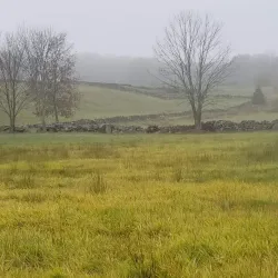 Bolton Heritage Farm - Bolton