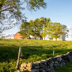Bolton Heritage Farm - Bolton