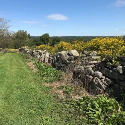 Bolton Heritage Farm - Bolton