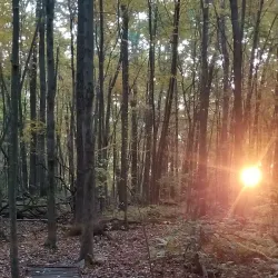 Bolton Heritage Farm - Bolton