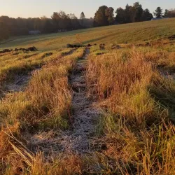 Bolton Heritage Farm - Bolton