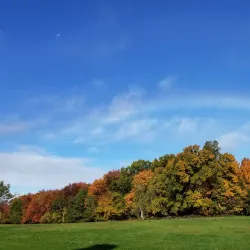Bolton Heritage Farm - Bolton
