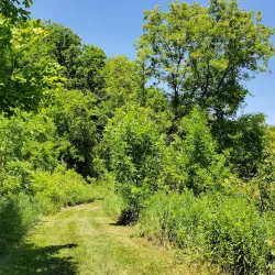 Bolton Lions Park - Bolton