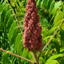 Bolton Lions Park - Bolton