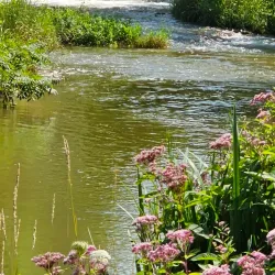Bolton Lions Park - Bolton