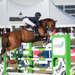 Caledon Equestrian Park - Bolton