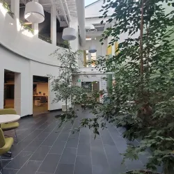 Caledon Public Library - Bolton Branch - Bolton