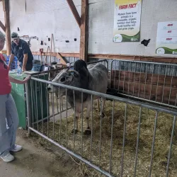Caledon Public Library - Bolton Branch - Bolton