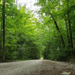 Caledon Trailway - Bolton