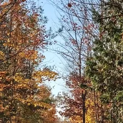 Caledon Trailway - Bolton