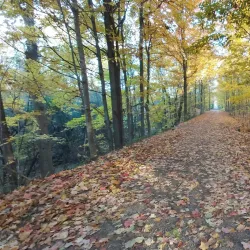 Caledon Trailway - Bolton