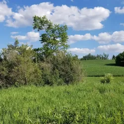 Caledon Trailway - Bolton