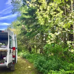Moose Lake Provincial Park - Bonnyville