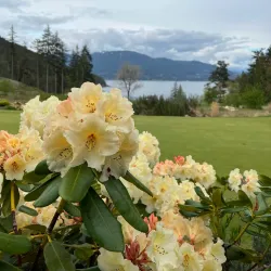 Bowen Island Golf Club - Bowen Island