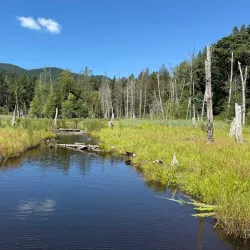 Crippen Lookout - Bowen Island