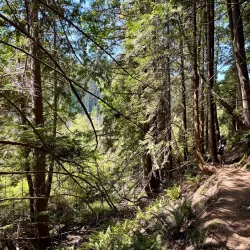 Crippen Lookout - Bowen Island