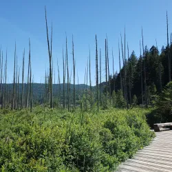 Crippen Lookout - Bowen Island