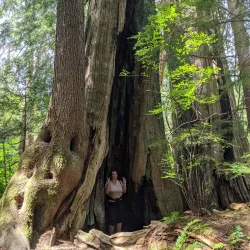 Crippen Lookout - Bowen Island