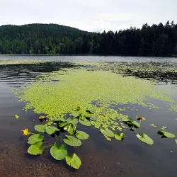 Crippen Regional Park - Bowen Island