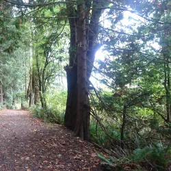 Crippen Regional Park - Bowen Island