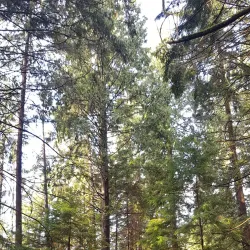 Crippen Regional Park - Bowen Island