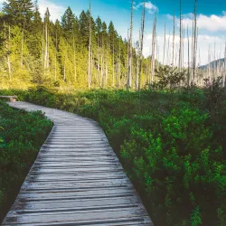 Crippen Regional Park - Bowen Island