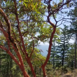 Dorman Point Park - Bowen Island