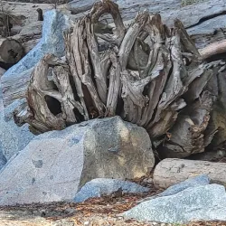 Tunstall Bay - Bowen Island
