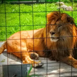 Bowmanville Zoo (formerly Clarington Zoo) - Bowmanville