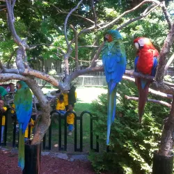 Bowmanville Zoo (formerly Clarington Zoo) - Bowmanville