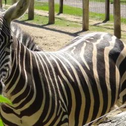 Bowmanville Zoo (formerly Clarington Zoo) - Bowmanville