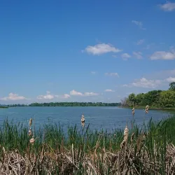 Darlington Provincial Park - Bowmanville