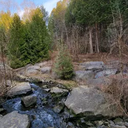 Tooley's Mill Park - Bowmanville