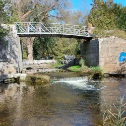 Tooley's Mill Park - Bowmanville