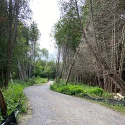 Tooley's Mill Park - Bowmanville