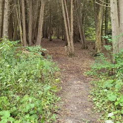 Tooley's Mill Park - Bowmanville