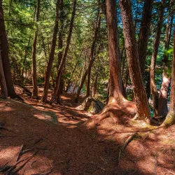 High Falls - Bracebridge
