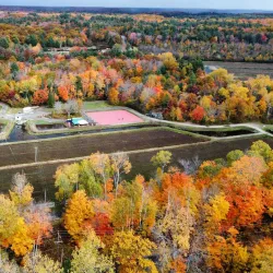 Muskoka Lakes Winery - Bracebridge