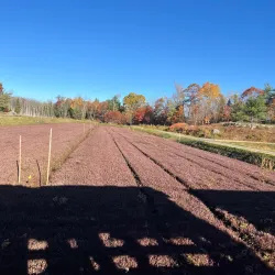 Muskoka Lakes Winery - Bracebridge