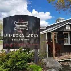 Muskoka Lakes Winery - Bracebridge