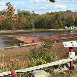 Muskoka Lakes Winery - Bracebridge