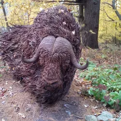 The Woodchester Villa - Bracebridge