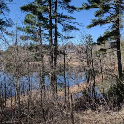 The Woodchester Villa - Bracebridge