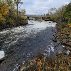 The Woodchester Villa - Bracebridge