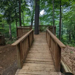 The Woodchester Villa - Bracebridge